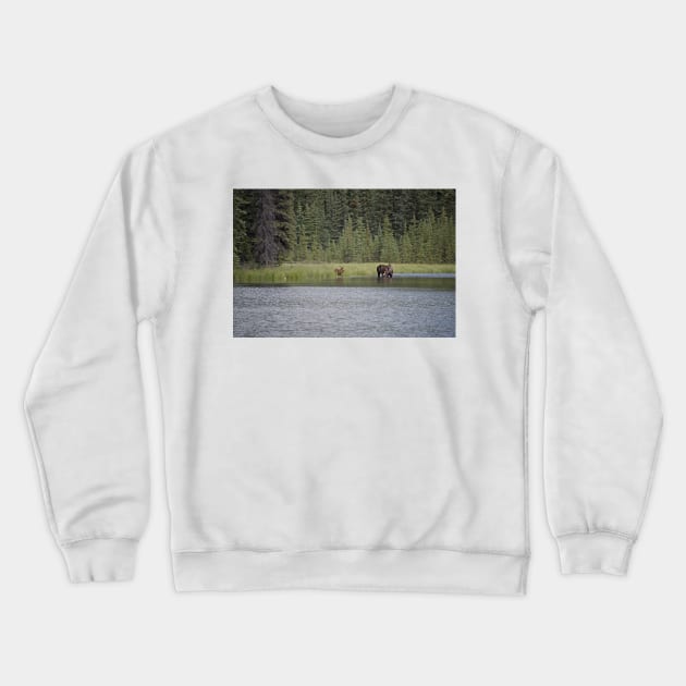 WGC_1359 Crewneck Sweatshirt by wgcosby